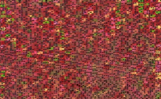 Jo Bourg-120x120cm